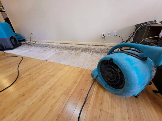 Professional Sewage Cleanup technician working in Somerset, NJ